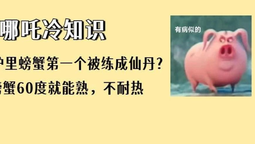 奥门一码一肖100准王中,《哪吒2》冲击全球影史票房第6,公开决策资料解释落实_基础版V6.35