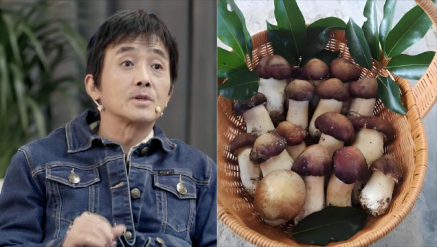 香港最准最快资料刘伯温一肖一码凤凰艺术,上海轨道交通禁止吸烟,多元化方案执行策略_入门版V11.37