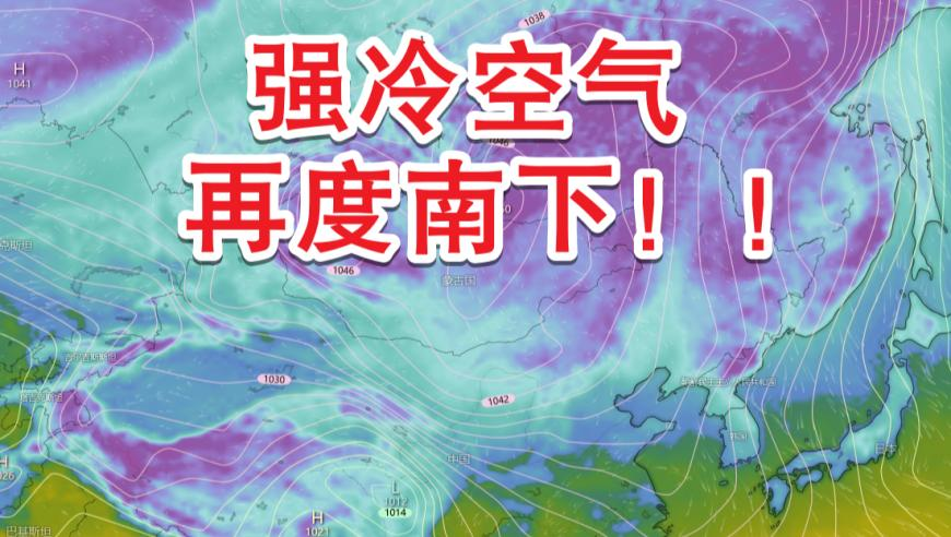 杨妞花再回应带货,天天六开彩澳门开奖结果,精准解释落实的人生哲理_工具版V10.67